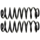Purchase Top-Quality Rear Coil Springs by MOOG - 81051 pa3