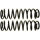 Purchase Top-Quality Rear Coil Springs by MOOG - 81077 pa4