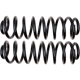 Purchase Top-Quality Rear Coil Springs by MOOG - 81149 pa4