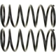 Purchase Top-Quality Rear Coil Springs by MOOG - 81403 pa4