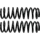 Purchase Top-Quality Rear Coil Springs by MOOG - 81723 pa2