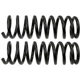Purchase Top-Quality Rear Coil Springs by MOOG - 81725 pa6