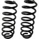 Purchase Top-Quality Rear Coil Springs by MOOG - 81781 pa2