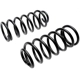 Purchase Top-Quality Rear Coil Springs by RAYBESTOS - 589-1077 pa1