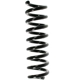 Purchase Top-Quality SUPLEX PARTS - 19307 - Rear Coil Spring pa1