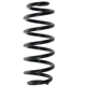 Purchase Top-Quality Rear Coil Springs by SUPLEX PARTS - 19364 pa1