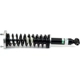 Purchase Top-Quality Rear Complete Strut Assembly by ARNOTT - SK3627 pa1