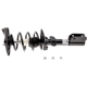 Purchase Top-Quality Rear Complete Strut Assembly by EVOLUTION - V171662R pa4