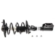 Purchase Top-Quality Rear Complete Strut Assembly by EVOLUTION - V171671R pa3