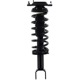 Purchase Top-Quality FCS AUTOMOTIVE - 1335578 - Suspension Strut and Coil Spring Assembly pa1