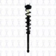 Purchase Top-Quality Rear Complete Strut Assembly by FCS AUTOMOTIVE - 1345483R pa2
