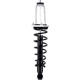 Purchase Top-Quality FCS AUTOMOTIVE - 1345596L - Suspension Strut and Coil Spring Assembly pa1