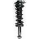 Purchase Top-Quality FCS AUTOMOTIVE - 1345761 - Rear Complete Strut Assembly pa5
