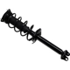 Purchase Top-Quality Rear Complete Strut Assembly by FCS AUTOMOTIVE - 1345967 pa1