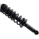 Purchase Top-Quality FCS AUTOMOTIVE - 1355049L - Suspension Strut and Coil Spring Assembly pa2