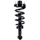 Purchase Top-Quality FCS AUTOMOTIVE - 1355062 - Suspension Strut and Coil Spring Assembly pa1