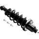 Purchase Top-Quality FCS AUTOMOTIVE - 2355016R - Suspension Strut and Coil Spring Assembly pa4