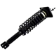 Purchase Top-Quality FCS AUTOMOTIVE - 3336338 - Strut Assembly pa5