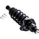 Purchase Top-Quality FCS AUTOMOTIVE - 3355016L - Suspension Strut and Coil Spring Assembly pa5