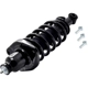 Purchase Top-Quality FCS AUTOMOTIVE - 3355016R - Suspension Strut and Coil Spring Assembly pa4