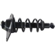 Purchase Top-Quality GSP NORTH AMERICA - 810067 - Suspension Strut and Coil Spring Assembly - Rear Left pa1