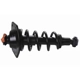 Purchase Top-Quality GSP NORTH AMERICA - 810069 - Suspension Strut and Coil Spring Assembly - Rear Left pa3