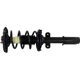 Purchase Top-Quality GSP NORTH AMERICA - 810318 - Suspension Strut and Coil Spring Assembly pa3