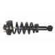 Purchase Top-Quality GSP NORTH AMERICA - 811360 - Suspension Strut and Coil Spring Assembly - Rear pa1