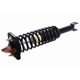 Purchase Top-Quality GSP NORTH AMERICA - 812116 - Suspension Strut and Coil Spring Assembly - Rear pa1