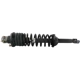 Purchase Top-Quality GSP NORTH AMERICA - 836214 - Suspension Strut and Coil Spring Assembly - Rear Right pa2