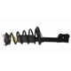 Purchase Top-Quality GSP NORTH AMERICA - 837218 - Suspension Strut and Coil Spring Assembly - Rear Right pa3