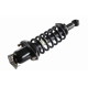 Purchase Top-Quality GSP NORTH AMERICA - 869010 - Suspension Strut and Coil Spring Assembly - Rear Right pa1