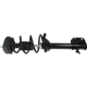 Purchase Top-Quality GSP NORTH AMERICA - 882649 - Suspension Strut and Coil Spring Assembly - Rear Right pa3