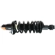 Purchase Top-Quality GSP NORTH AMERICA - 882753 - Suspension Strut and Coil Spring Assembly - Rear Right pa2