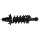 Purchase Top-Quality GSP NORTH AMERICA - 882754 - Suspension Strut and Coil Spring Assembly - Rear Left pa2