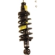 Purchase Top-Quality KYB - SR4194 - Rear Complete Strut Assembly pa11
