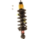 Purchase Top-Quality KYB - SR4194 - Rear Complete Strut Assembly pa12