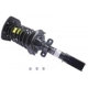 Purchase Top-Quality Rear Complete Strut Assembly by KYB - SR4004 pa3