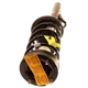 Purchase Top-Quality Rear Complete Strut Assembly by KYB - SR4070 pa1