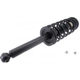 Purchase Top-Quality Rear Complete Strut Assembly by KYB - SR4076 pa3