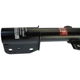 Purchase Top-Quality Rear Complete Strut Assembly by KYB - SR4103 pa2