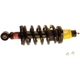 Purchase Top-Quality Rear Complete Strut Assembly by KYB - SR4192 pa2