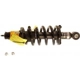Purchase Top-Quality KYB - SR4193 - Rear Complete Strut Assembly pa9