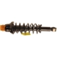 Purchase Top-Quality Rear Complete Strut Assembly by KYB - SR4204 pa1