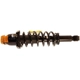Purchase Top-Quality Rear Complete Strut Assembly by KYB - SR4205 pa1