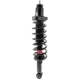 Purchase Top-Quality Rear Complete Strut Assembly by KYB - SR4218 pa10