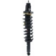 Purchase Top-Quality Rear Complete Strut Assembly by KYB - SR4542 pa2