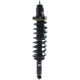 Purchase Top-Quality Rear Complete Strut Assembly by KYB - SR4542 pa4