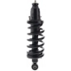Purchase Top-Quality Rear Complete Strut Assembly by KYB - SR4606 pa1