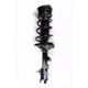 Purchase Top-Quality MACPHERSON RIDE CONTROL - MP1331060L - Strut and Coil Spring Assembly pa1